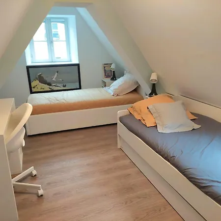 Apartment Duplex En Centre-ville *